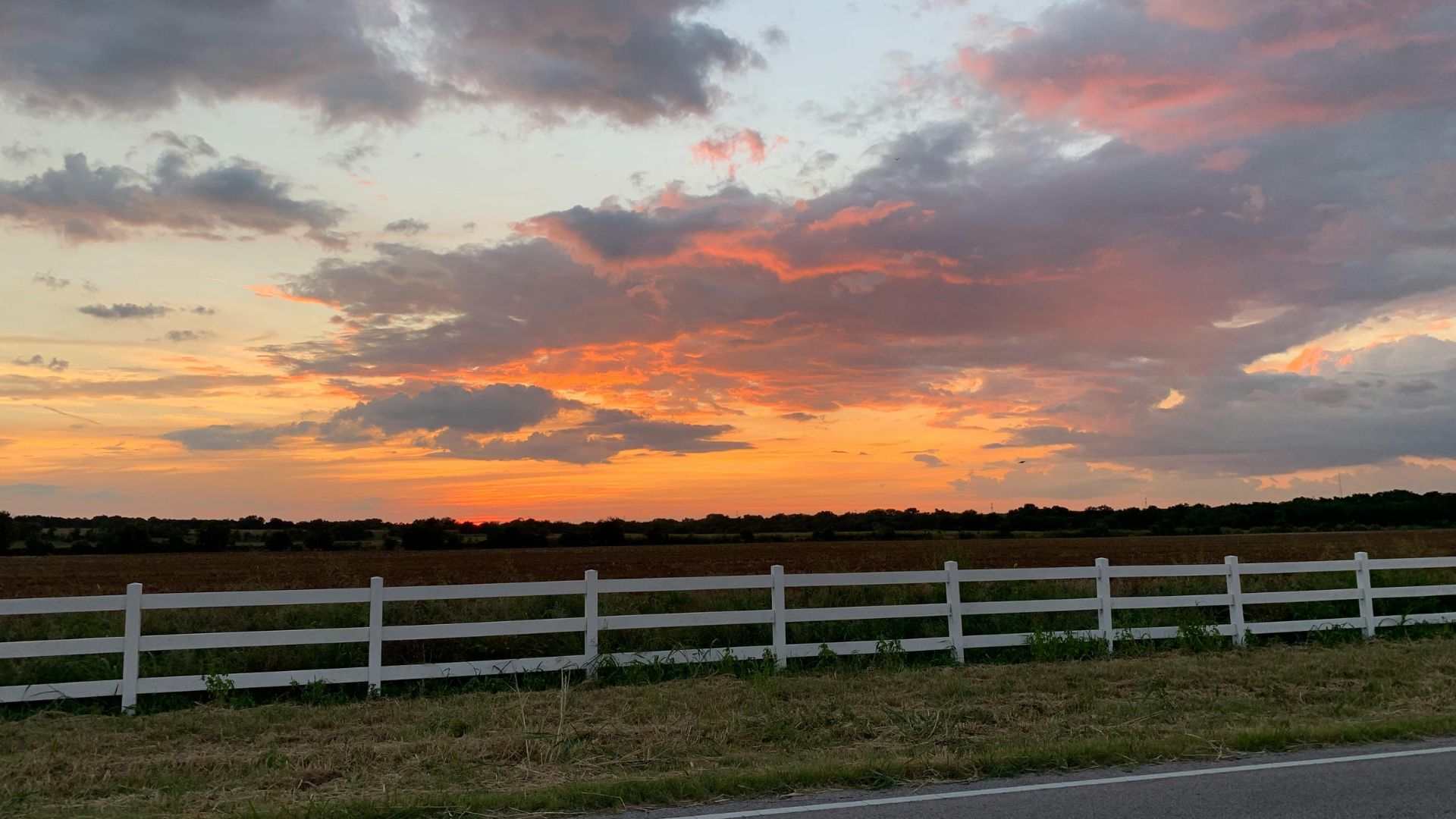 How Probate Lawyers in DeSoto Help Protect Estate Assets During Probate image