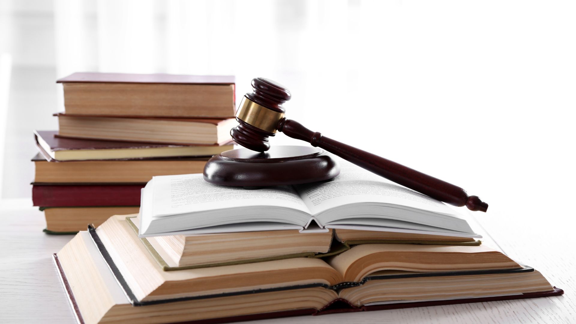 Minor And Adult Guardianship image