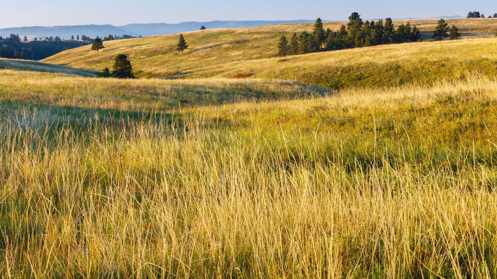 What To Expect When Working With Probate Lawyers in Grand Prairie, Texas image