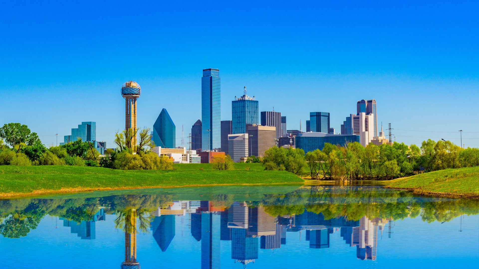 Why Executors Often Choose to Work With Dallas County Probate Attorneys image