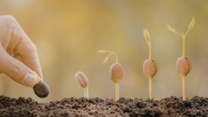 Typical Stages of the Probate Timeline in Dallas County