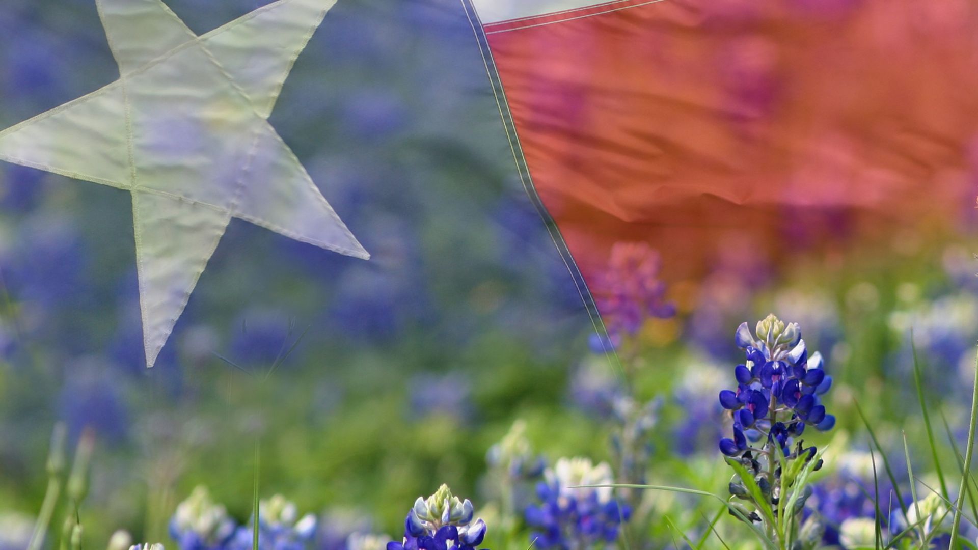 Why Choose Our Frisco Probate Attorneys?